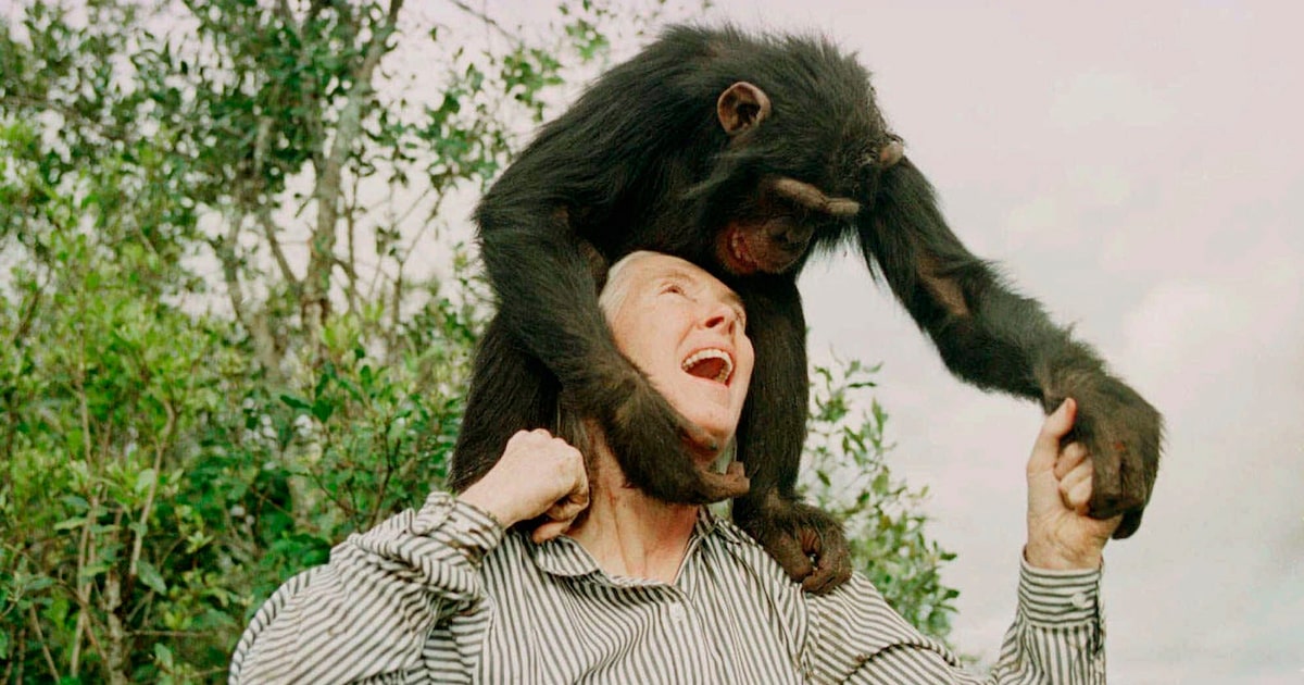 Jane Goodall’s quiet grace shined in Dallas