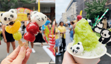 Panda Fest Debuts in Dallas