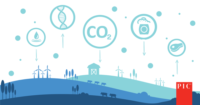 PIC genetics reduce North American pork producers’ greenhouse gas emissions by 7.5%
