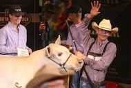 Jade Stone exits after leading his 18-month-old Grand Champion Market Steer, Haggard, from...