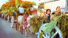 Roaming Mexico: Laura Wilson Oxen parade with grandmother and granddaughter Meadows Museum, SMU 2025