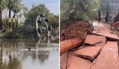 The Phoenix Zoo has reopened after being closed for three days due to storm damage....