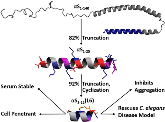 Peptide and protein diagram