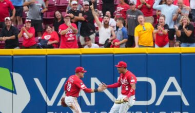 What are the Reds needs this offseason?