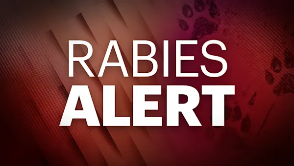 A cat has tested positive for rabies in Suffolk County