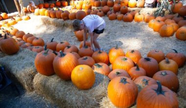 From World Food Expo to Japanese folk concert – San Diego Union-Tribune