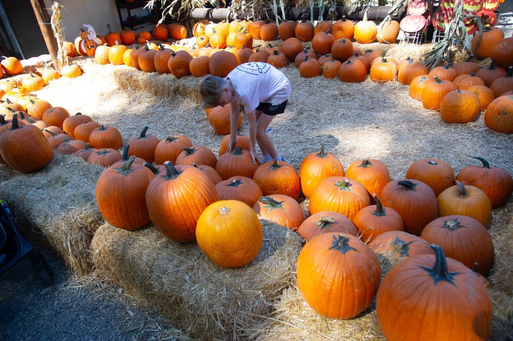 From World Food Expo to Japanese folk concert – San Diego Union-Tribune