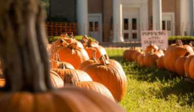 2025 pumpkin patches, haunted houses, hayrides and events around Northeast Florida