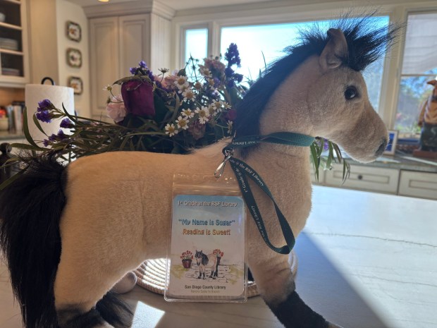 When children join the RSF Library, they receive a lanyard and a backpack with Sugar's image, as well as a stuffed animal in her likeness (above).(Stacy Snyder)