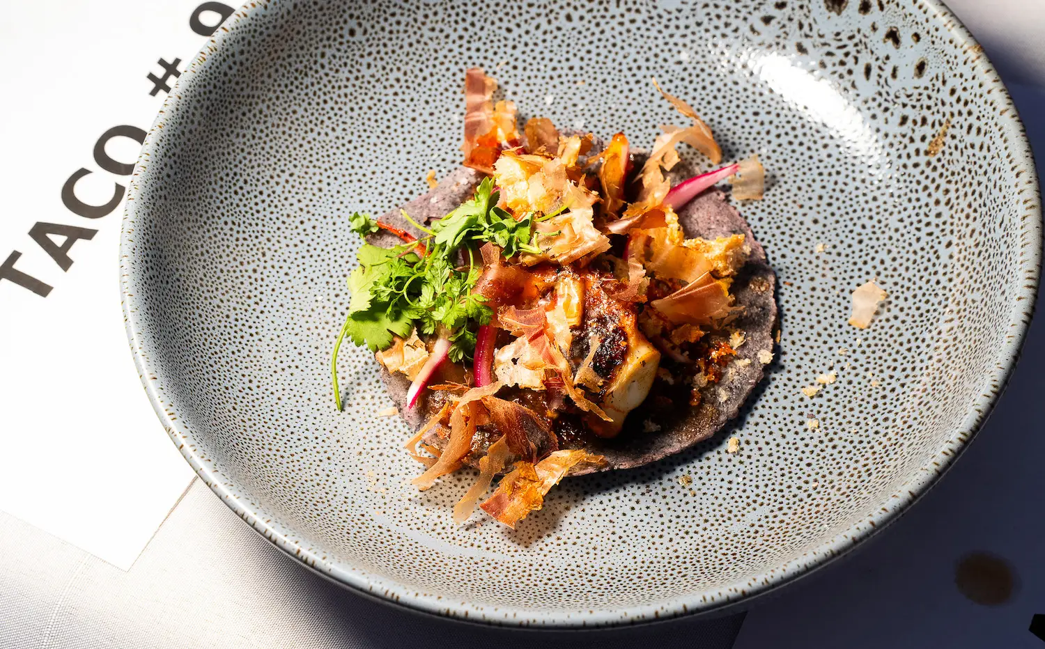 Fun events and things to do in San Diego this month November 2025, featuring the San Diego Food + Wine Festival