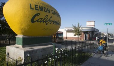 Lemon Grove still can’t agree who should fill council vacancy – San Diego Union-Tribune