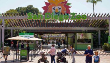 Interim CEO given permanent role at San Diego Zoo Wildlife Alliance – San Diego Union-Tribune