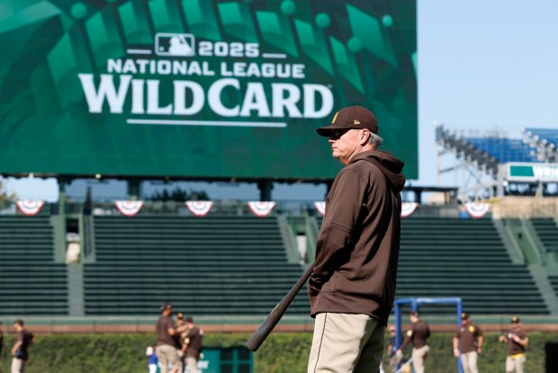 Manager Mike Shildt #8 of the San Diego Padres watches a practice before the Wildcard series against the Chicago Cubs at Wrigley Field on Sept. 29, 2025 in Chicago, Illinois. (Photo by K.C. Alfred / The San Diego Union-Tribune)