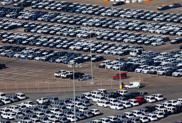 In an aerial photo, new vehicles to be distributed by the Pasha Group are parked at the National City Marine Terminal on Oct. 7, 2025 in National City, CA. (K.C. Alfred / The San Diego Union-Tribune)