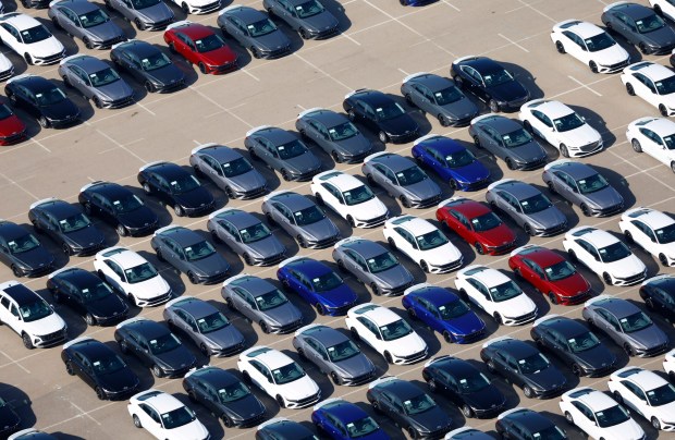 In an aerial photo, new vehicles to be distributed by the Pasha Group are parked at the National City Marine Terminal on Oct. 7, 2025 in National City, CA. (K.C. Alfred / The San Diego Union-Tribune)