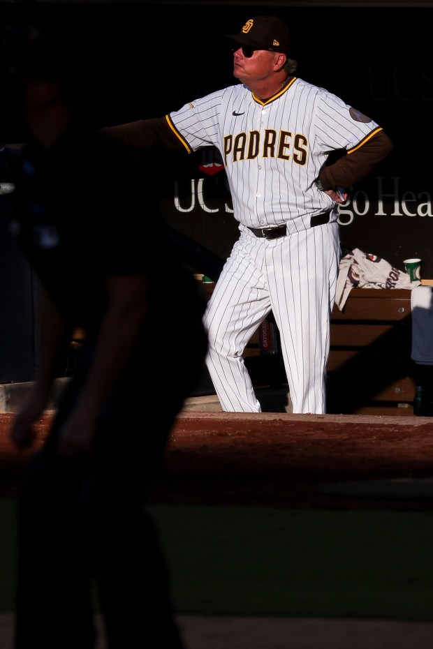 Mike Shildt #8 of the San Diego Padres looks on during the sixth inning against the Philadelphia Phillies at Petco Park on Saturday, July 12, 2025 in San Diego, CA. (Meg McLaughlin / The San Diego Union-Tribune)