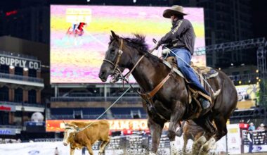 San Diego must stop subsidizing animal cruelty and ban rodeos – San Diego Union-Tribune