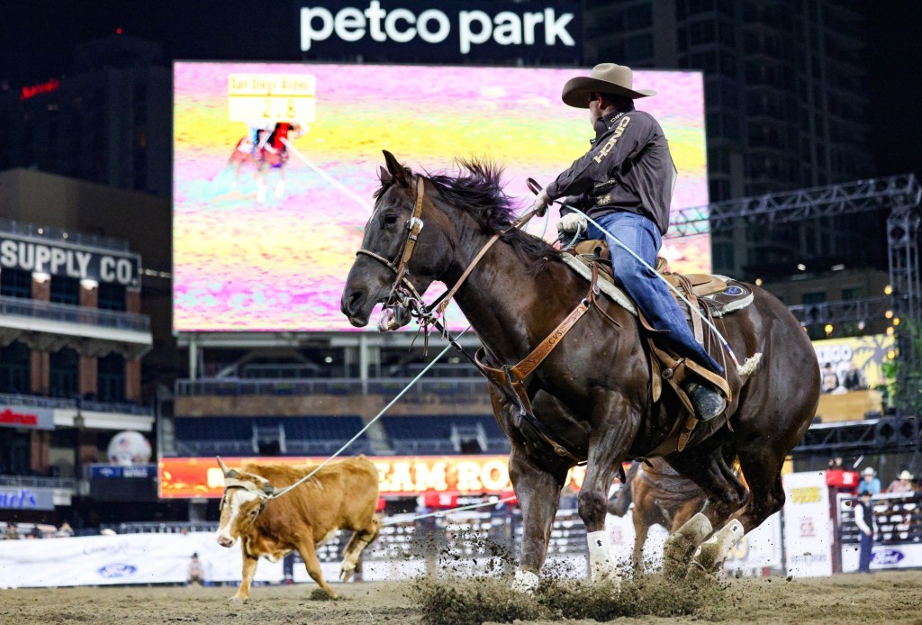 San Diego must stop subsidizing animal cruelty and ban rodeos – San Diego Union-Tribune