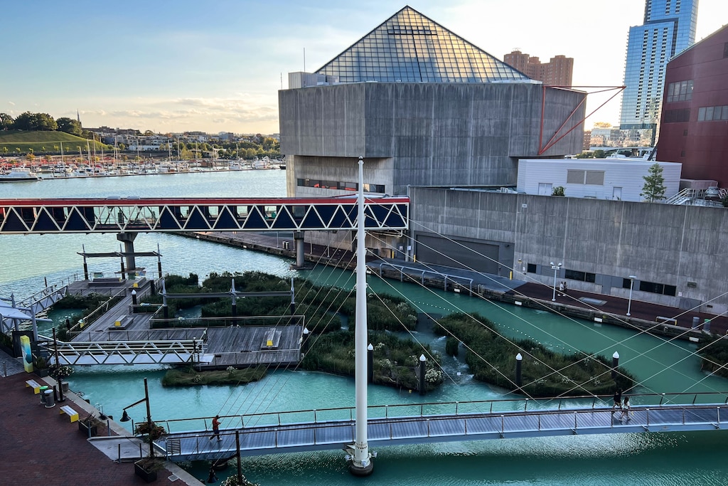 The water in Baltimore's Inner Harbor is bright green on Monday. Blue Water Baltimore calls the event the most widespread "pistachio tide" they've seen.