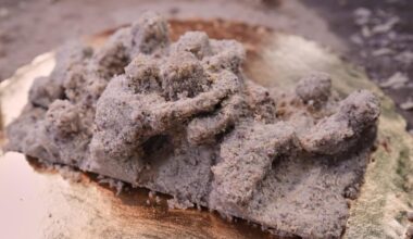 Philadelphia scrapple sculpture winner pays tribute to 'tush push'