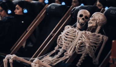 From Cult Classics To New Releases