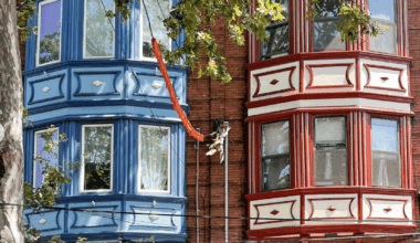 A 250th celebration for everyone?; 'Clay as Care'; Airport issues