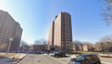 Man, 35, knifed to death in Bronx NYCHA building