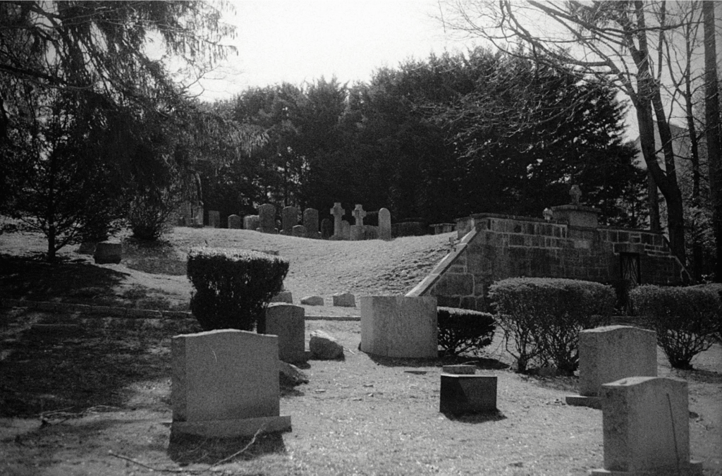 Letters to Dead Authors: A Series