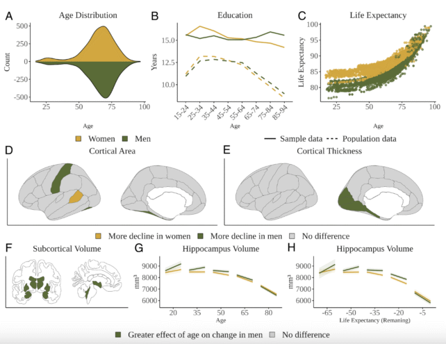 Age Differences Between Sexes