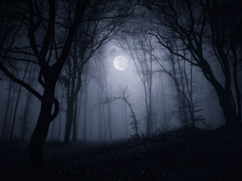 100-word nightmares from 13 Texas horror authors