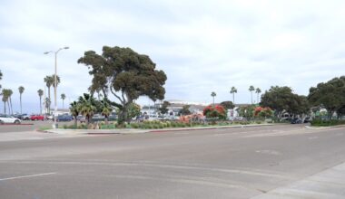 City removing trees in Mission Beach to install water basins, reduce flooding