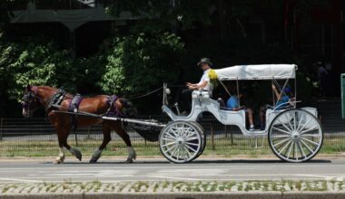 End the horse-drawn carriage industry