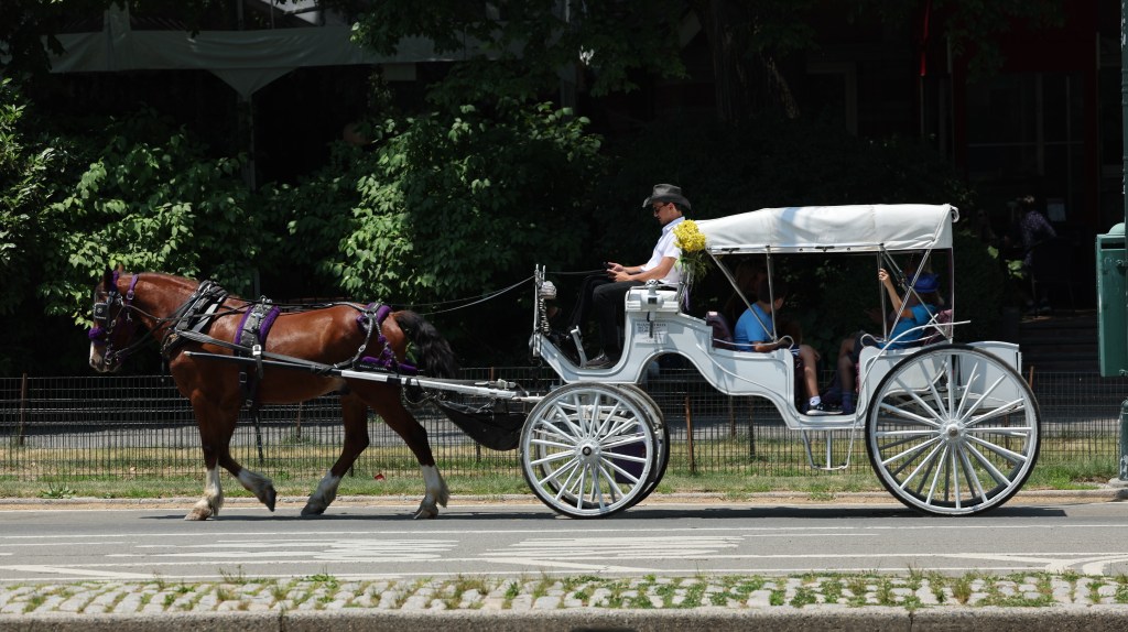 End the horse-drawn carriage industry