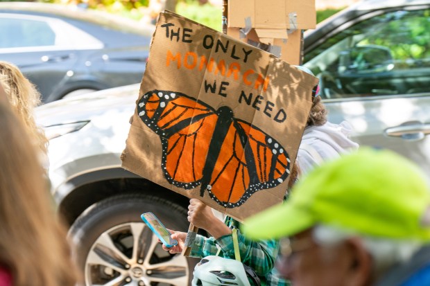 'No Kings Day Rally' against Donald Trump along Prospect Park West in Brooklyn on Saturday Oct. 18, 2025. 1202. (Theodore Parisienne / New York Daily News)