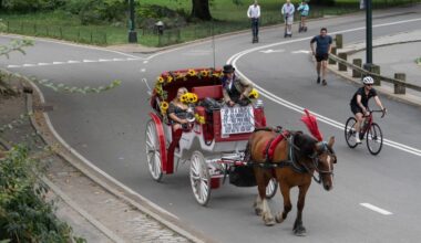 NYC transit union preparing to sue Adams' donors, top aide over push to ban horse carriages