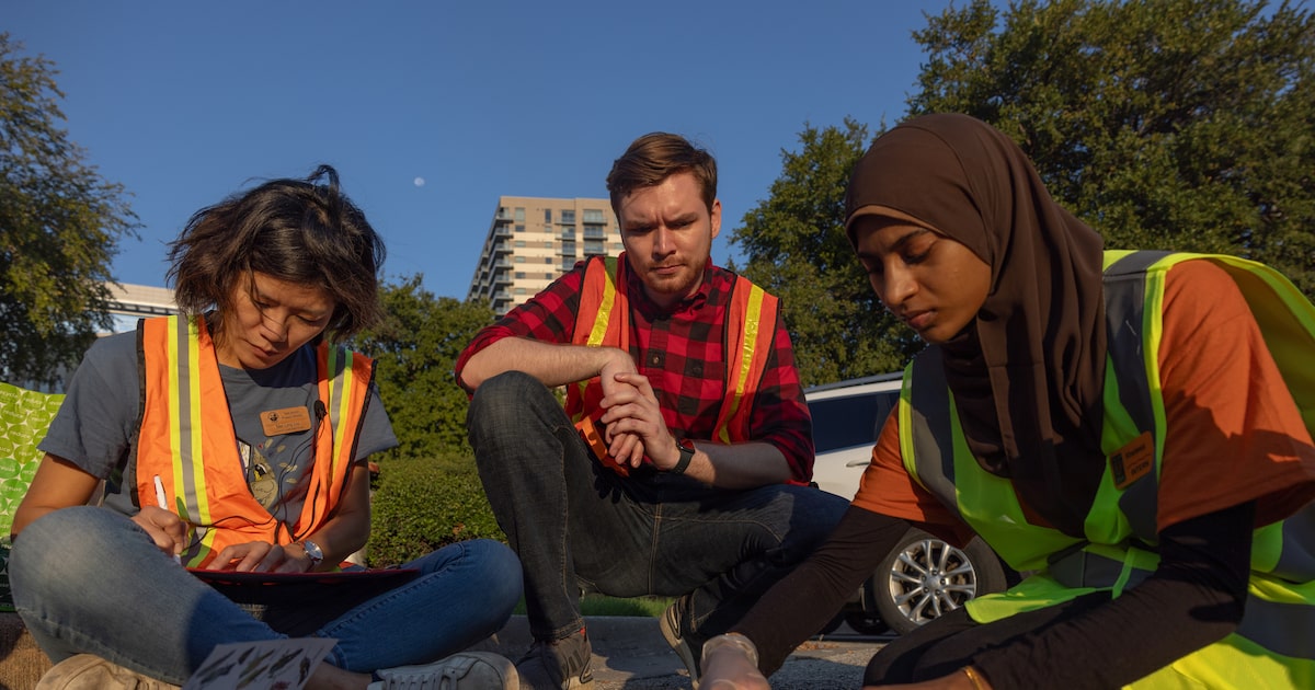 Dallas, let’s build a bird-safe convention center