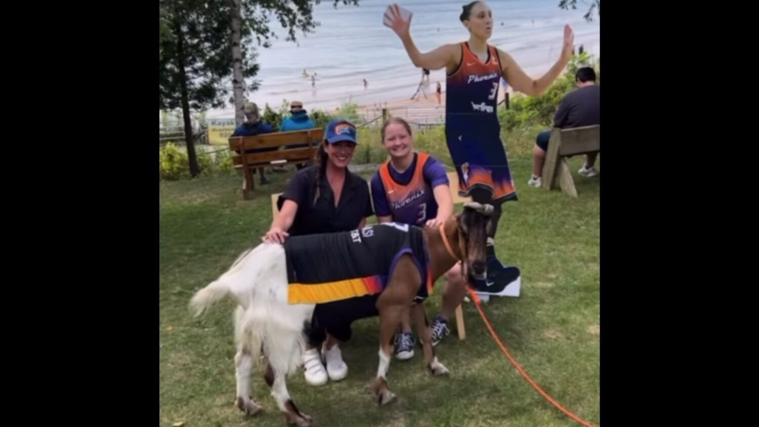 Follow @pwmoses11...