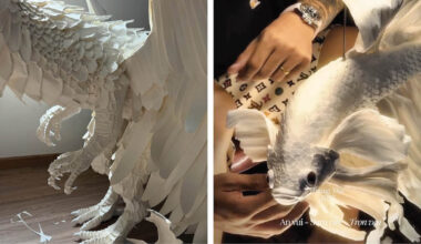 Artist Meticulously Cuts Paper Into Hyperrealistic Animal Sculptures