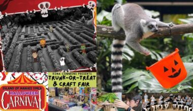 Top 10 things to do on Big Island for Oct. 24-30: Frightful fun featured at events around the island : Big Island Now