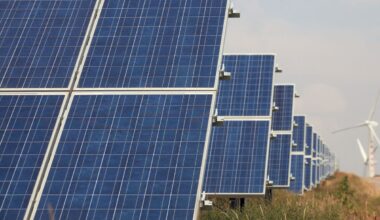 Trump administration cancels massive Nevada solar power project