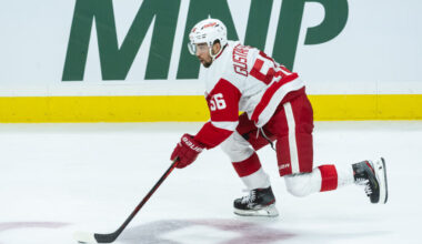 Detroit Red Wings Shopping Defensemen