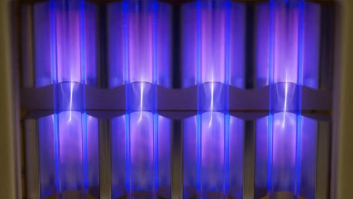 Scientists Discover Surprising Allergy Fix: UV Light