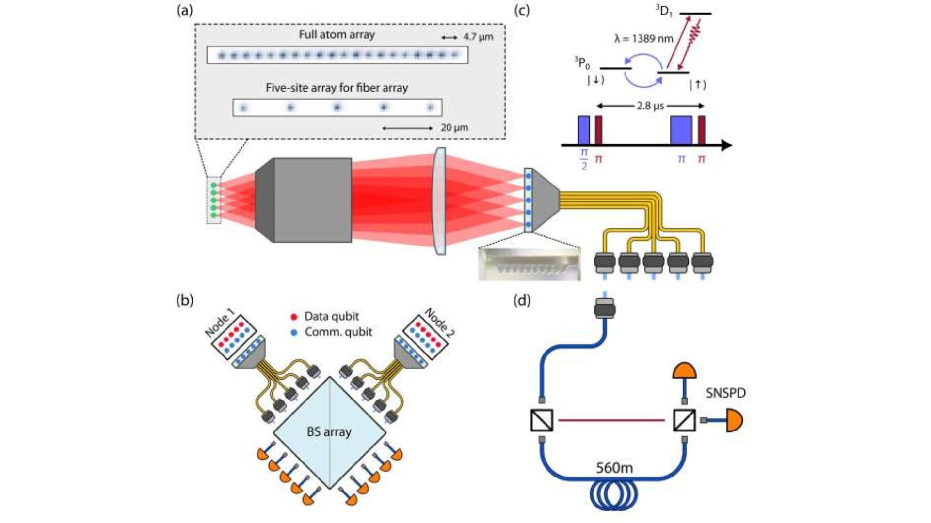 99% fidelity in quantum networking: US Researchers generate telecom-band entangled photons An overview of the team's platform.