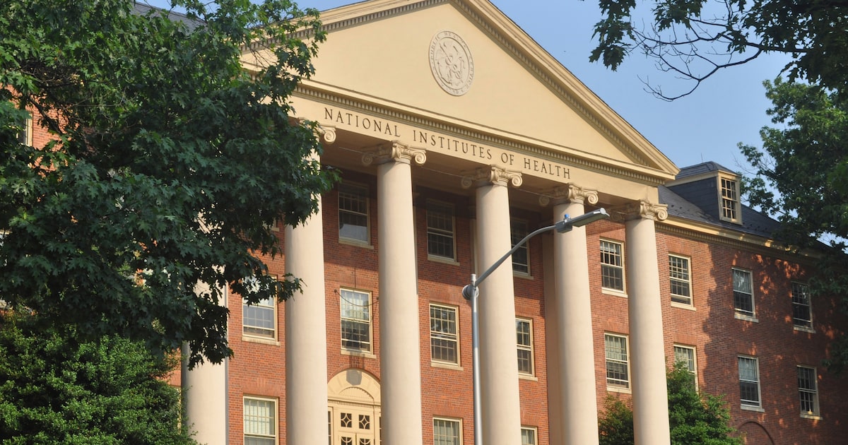 UT-Arlington scientists score $1.84M to study immune system response to danger