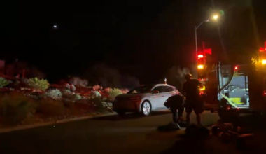Phoenix Fire crews rescue hiker, stray dog stranded on Shadow Mountain