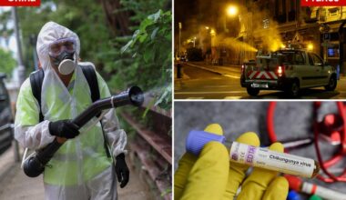 New York health officials confirm state's first locally acquired case of chikungunya virus
