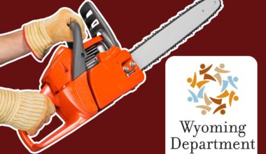 Dangers lurk behind DOGE-ing Wyoming's health department