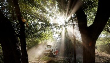 Changing Dallas parks funding is short-sighted
