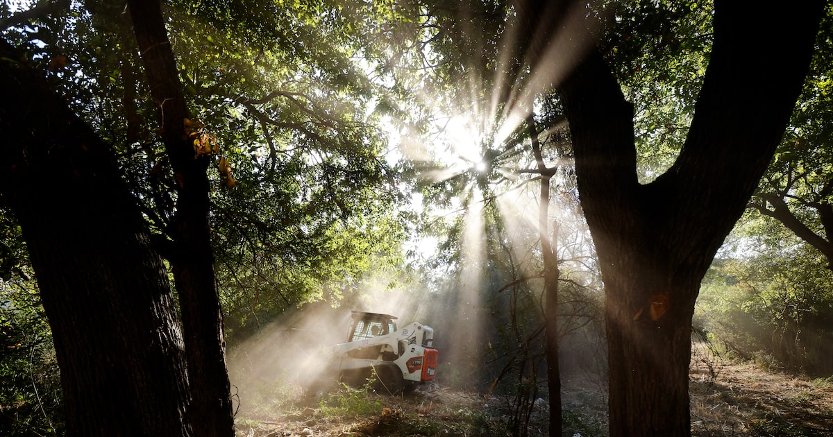Changing Dallas parks funding is short-sighted