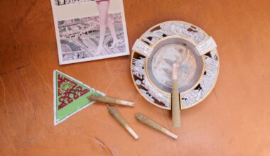 Weed, Herpes, and Safer Habits: Why Sharing Isn’t Always Caring